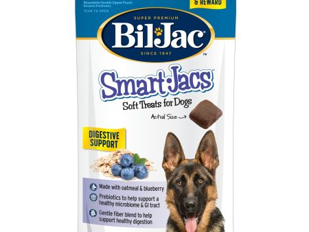 Bil-Jac Smart Jacs Digestive Support Dog Treats Oatmeal Blueberry 4oz. (Case of 10) Online Hot Sale