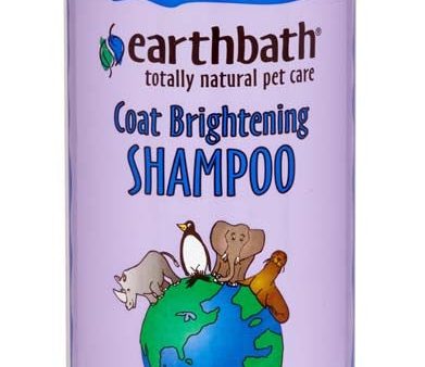 Earthbath Coat Brightening Shampoo, Lavender 1ea 16 oz Online Hot Sale